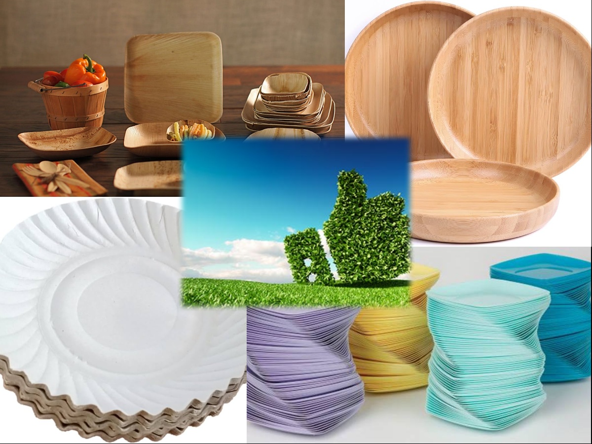 Eco-Friendly Plates for Your Party, Gathering, or Picnic