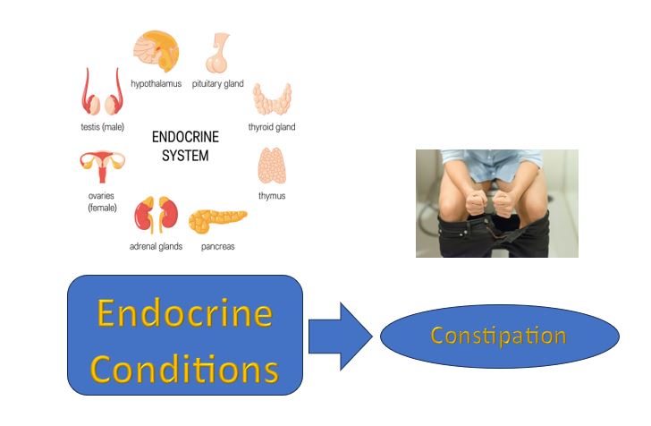 Endocrine Conditions Cause Constipation