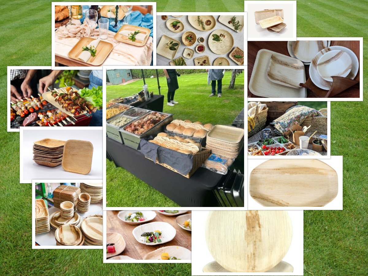 Enjoy Outdoor Dining with Astonishing Eco-Friendly Choice "Palm Leaf Plates"