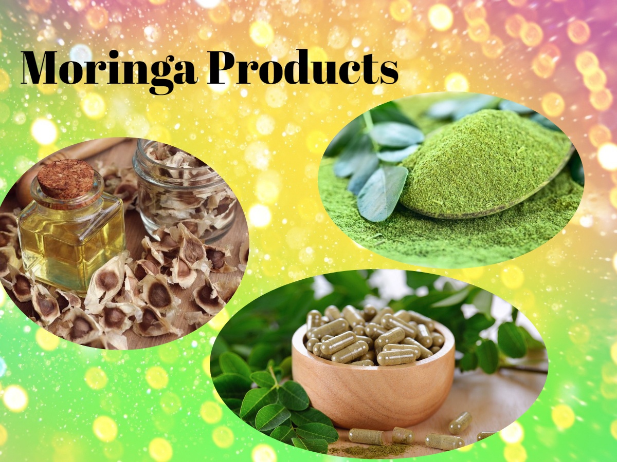 Moringa Products