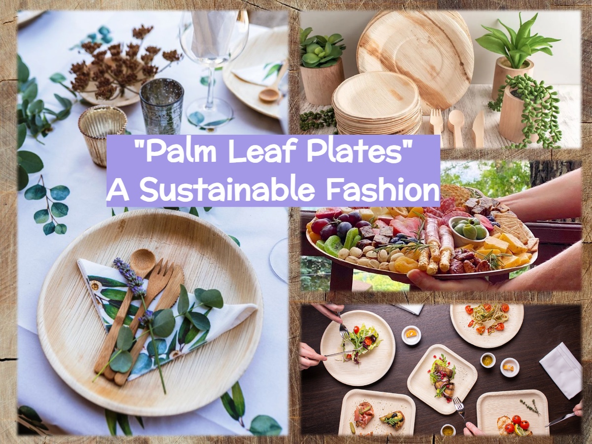 Palm Leaf Plates_ A Sustainable Fashion