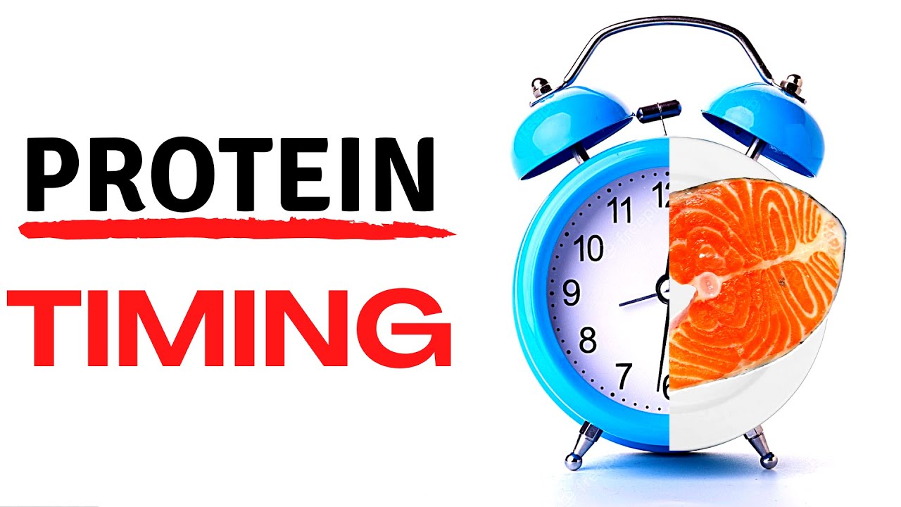 Protein Timing